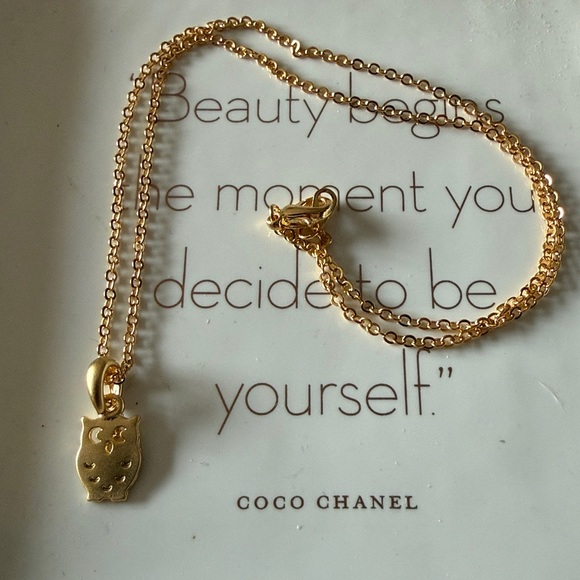 Jewelry - Owl Pendant Necklace
